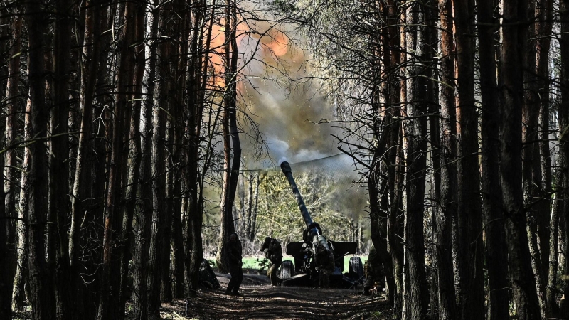 Кот, рожденный в окопе, стал талисманом волонтеров