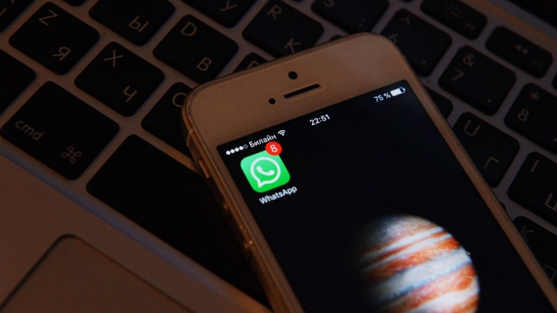 В Госдуме предупредили о грозящих WhatsApp штрафах
