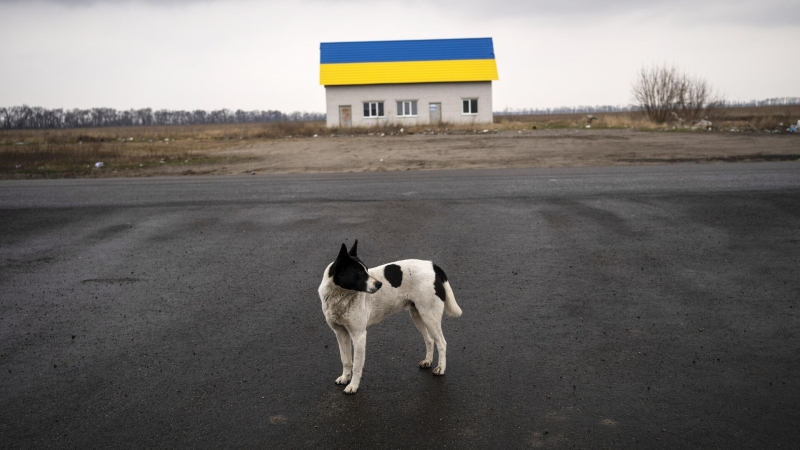 Киев нашел альтернативу на случай отключения от Starlink, заявил Умеров