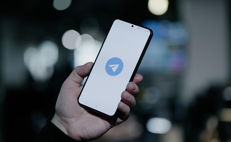 Игорные зоны попросили Telegram исключить каналы казино из теневого